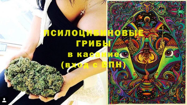 МДПВ Алексеевка