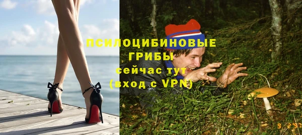 PSILOCYBIN Алзамай
